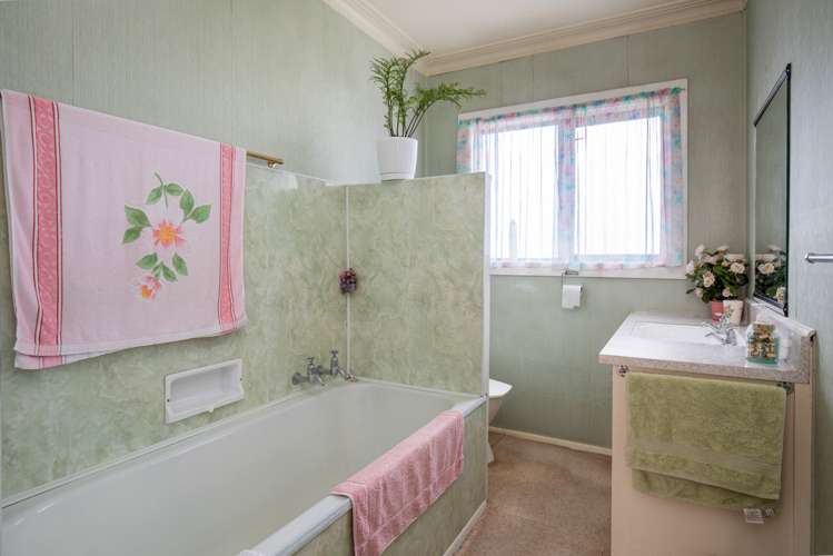 32 Ashworth Street Alexandra_3