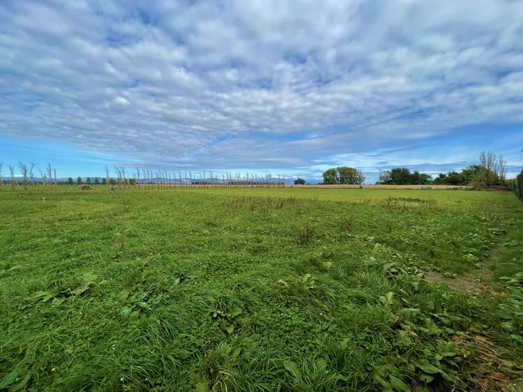 Oroua Road Kairanga_8