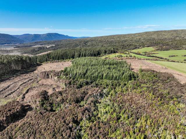 1250 Mokoreta Tahakopa Road Tahakopa Valley_1