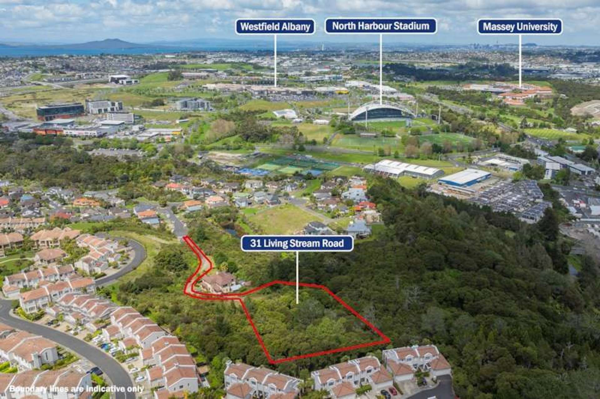 31 Living Stream Road Albany Heights_0