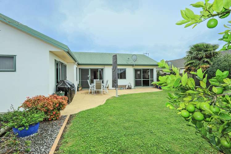 9 Flemington Place Taradale_14