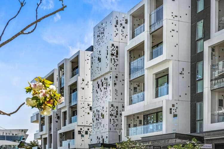 223 Greenlane West Epsom_7