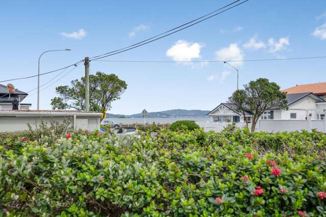 4 Collins Street Petone_2