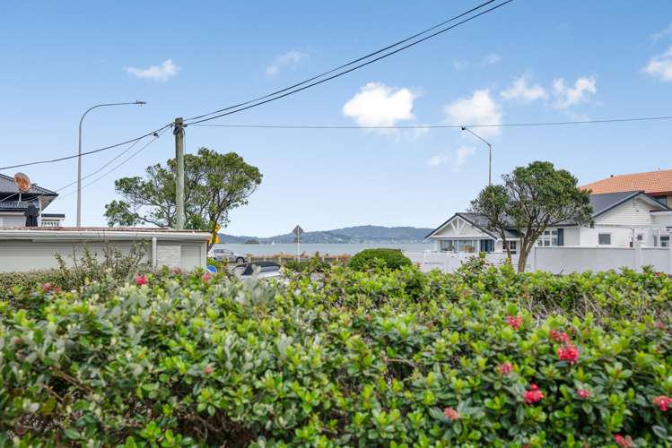 4 Collins Street Petone_2