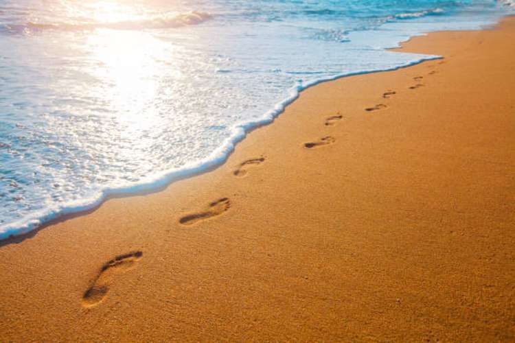 298a Ocean Road Ohope_25