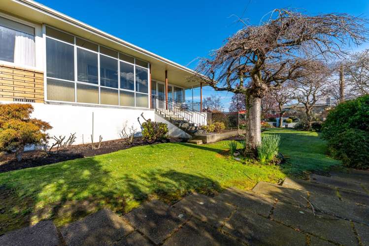52 Kauri Street Highfield_4