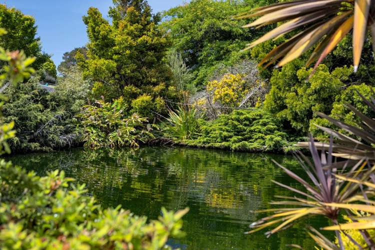 59 Turvey Road Mangonui_34