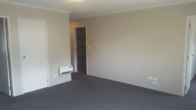 191C Massey Street Frankton_3