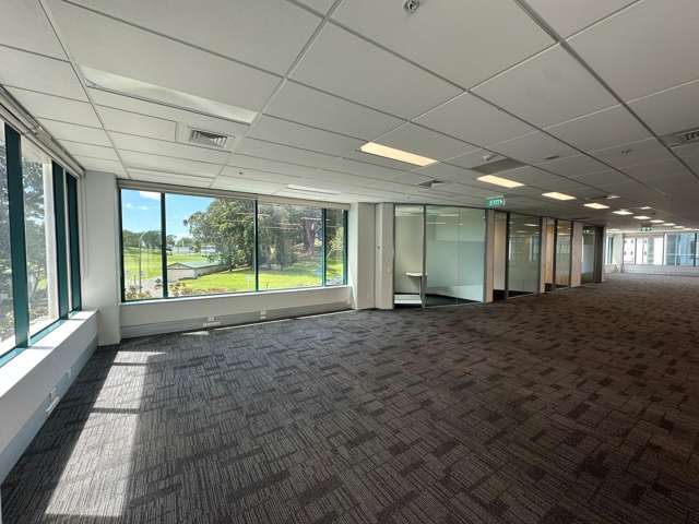 101 Carlton Gore Road Newmarket_3