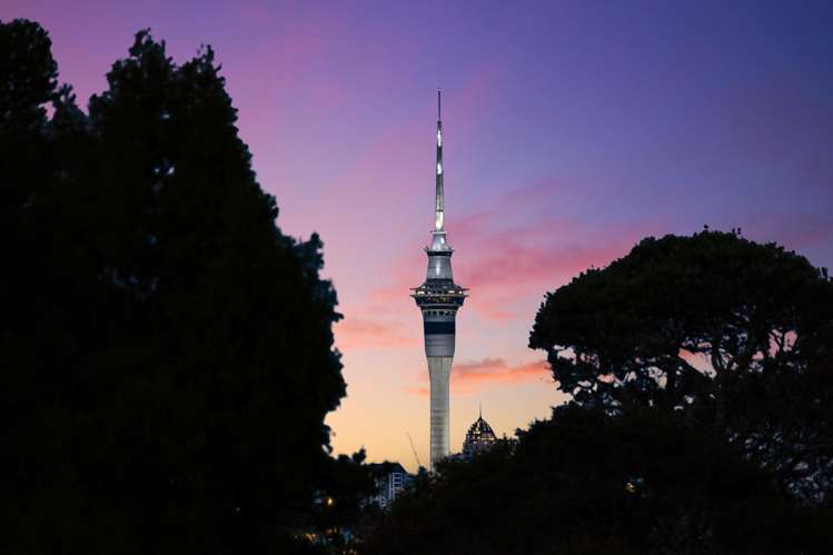 1/12 Bungalow Avenue Point Chevalier_3