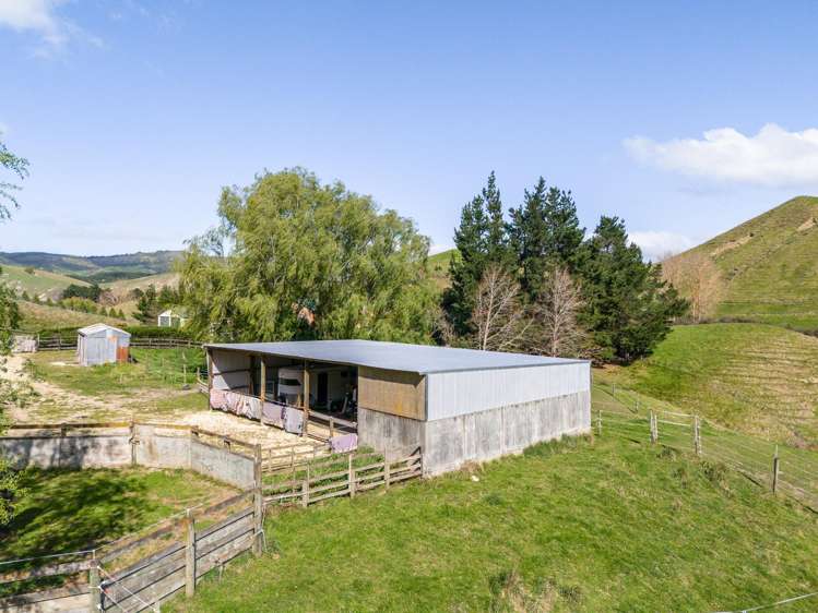 222 Mackenzie Road Kahuranaki_18