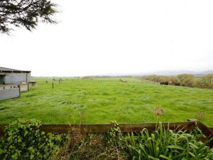 11 Shannon Buckley Road Shannon_11