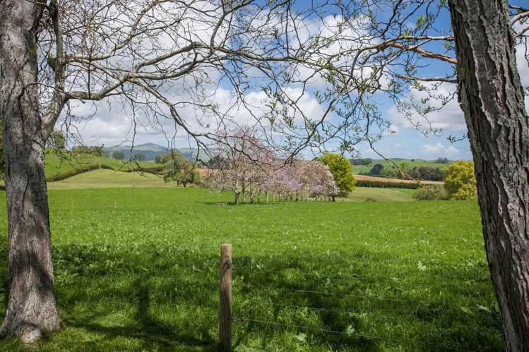 80 Paratu Road Richmond Downs_4