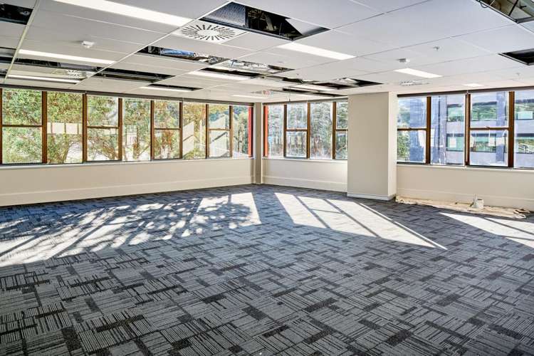 11 Aurora Terrace Wellington Central_3