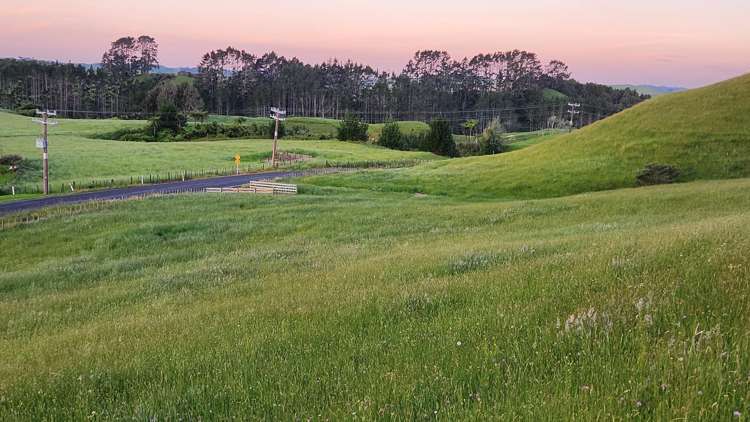 964 Tarata Road Kaimata_5