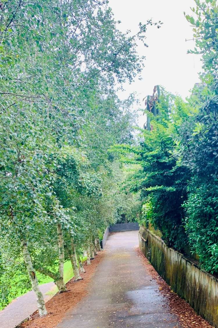 141a Grange Road Otumoetai_17