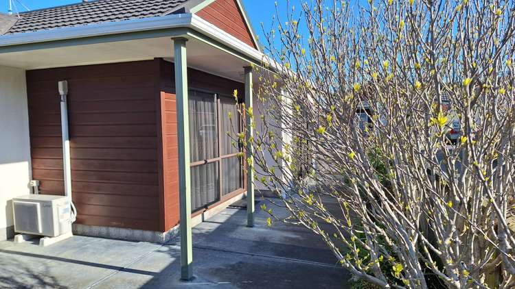 3 Macalister Place Miramar_3