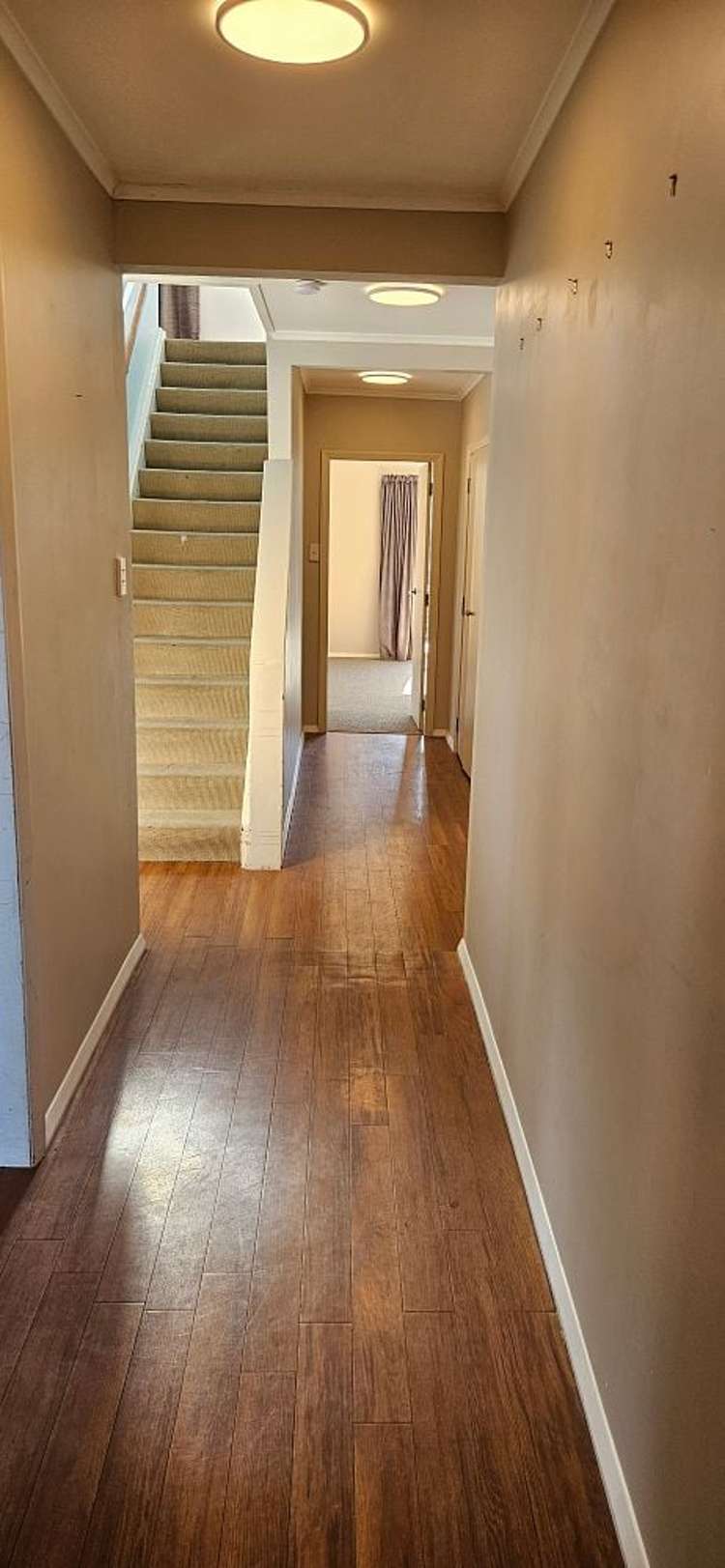 23 Jillett Street Titahi Bay_9