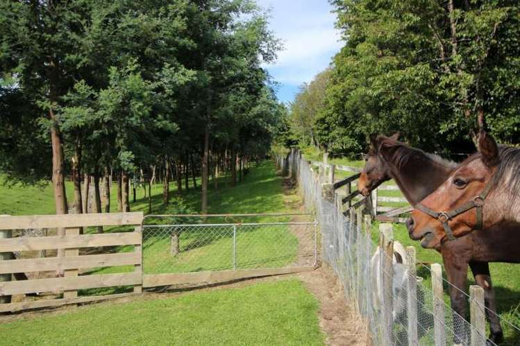 11 Omori Road Omori_16