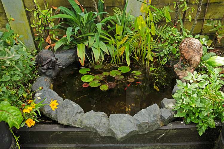 43 Patrick Rice Drive Swanson_20