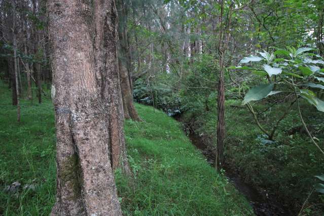 Orchard Road Kerikeri_3