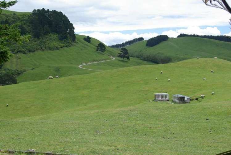 269 Whakaroa Road Kinloch_15