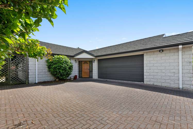 12a Willmott Place Springfield_0