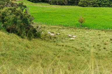 Lot 6 Ruakaka Ridge View_2