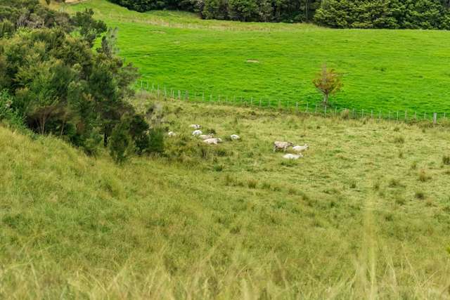 Lot 6 Ruakaka Ridge View Ruakaka_2