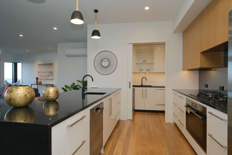 18 Selkirk Street Roslyn_7