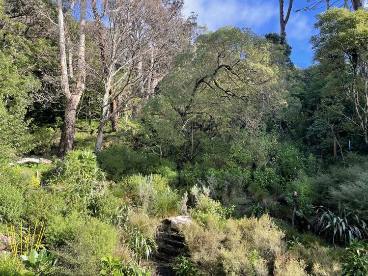 1a Anderson Terrace Mount Cook_1