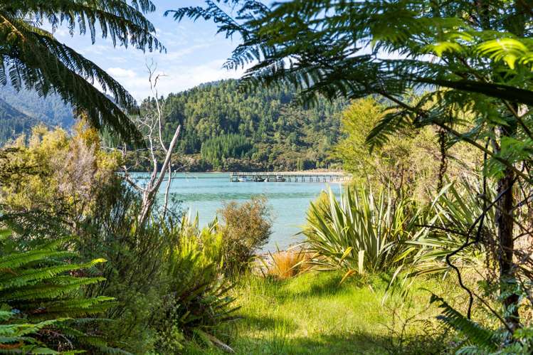 Lots 1 and 5 Nydia Bay Nydia Bay_19