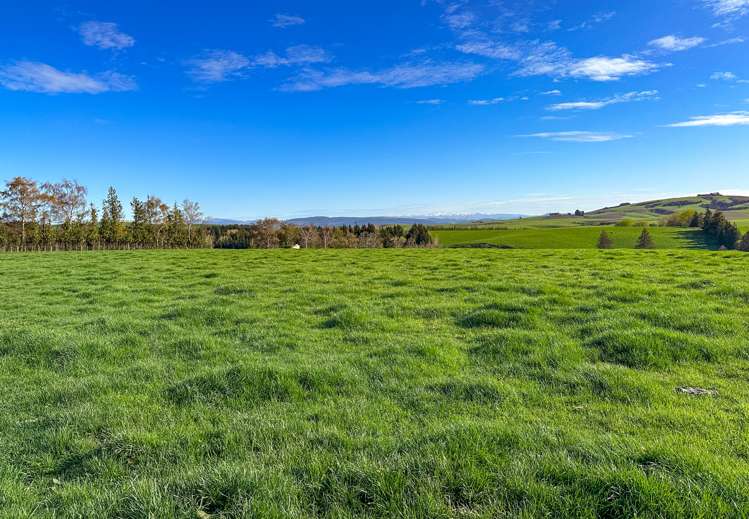 168 Duncan Road North Tapanui_5