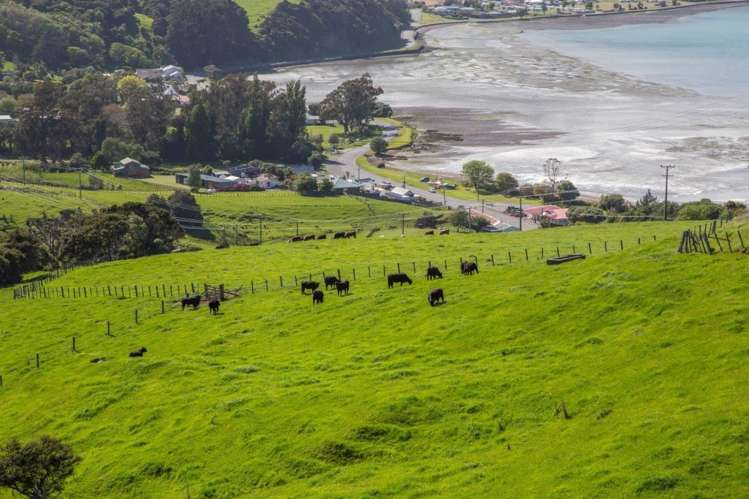 40 Pigeon Bay Road Duvauchelle_9