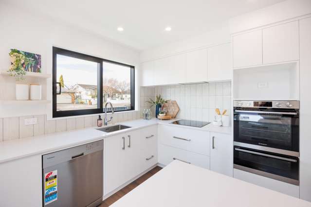 2 Albert Street Palmerston North Central_4