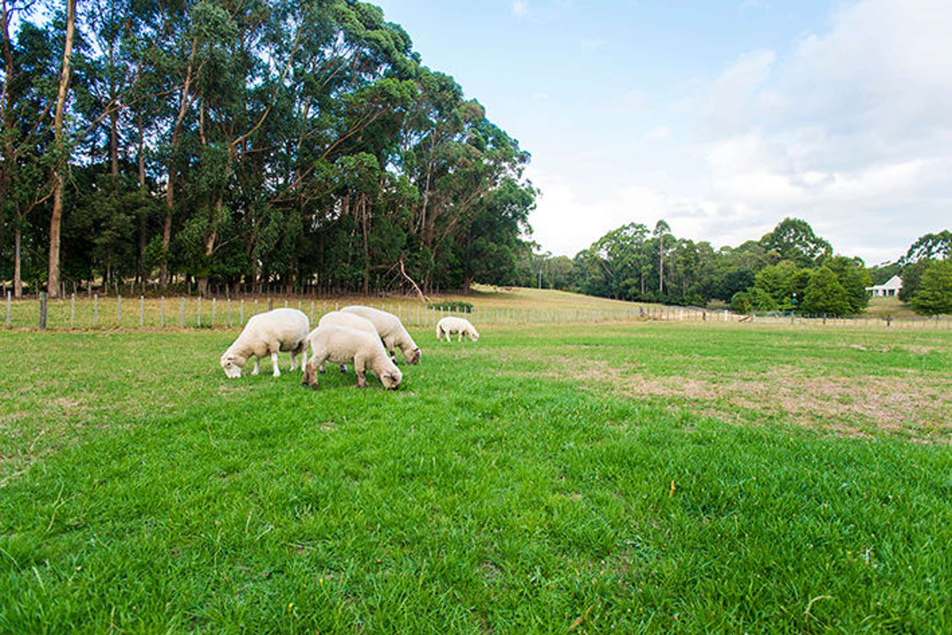 42 Maclaurin Road Makauri_0