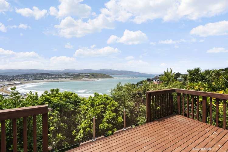 105 Hornsey Road Melrose_9