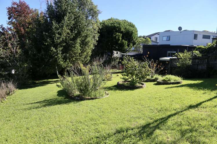 41 Roberton Road Avondale_32