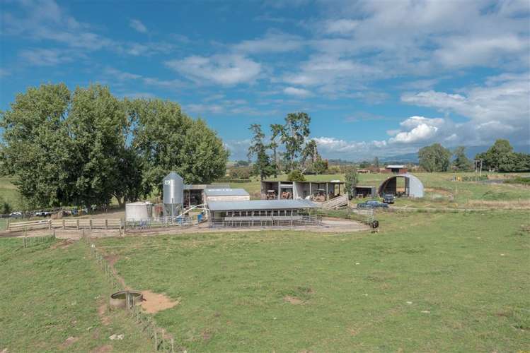 123 Ryburn Road Ohaupo_11