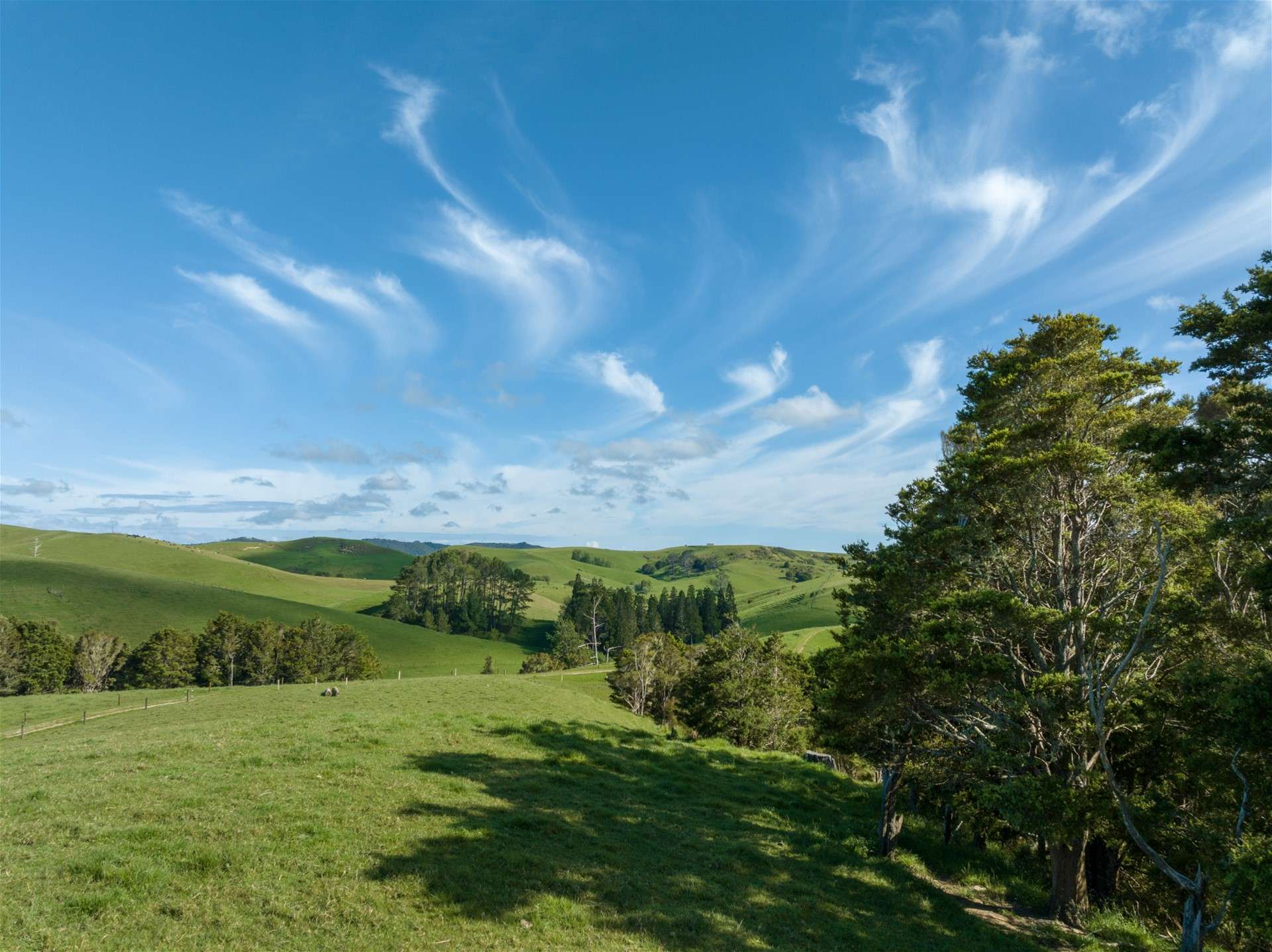 69 Fraser Road Kawakawa Far North Houses for Sale One Roof