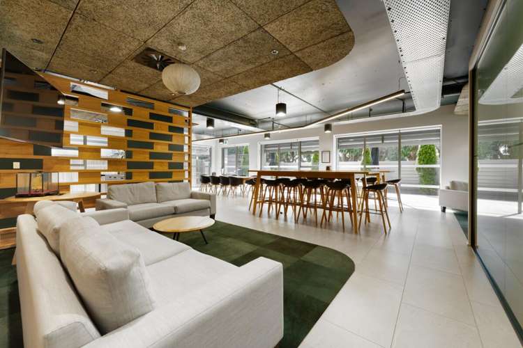 Level 1 Office 102 Hamilton Street Tauranga_7