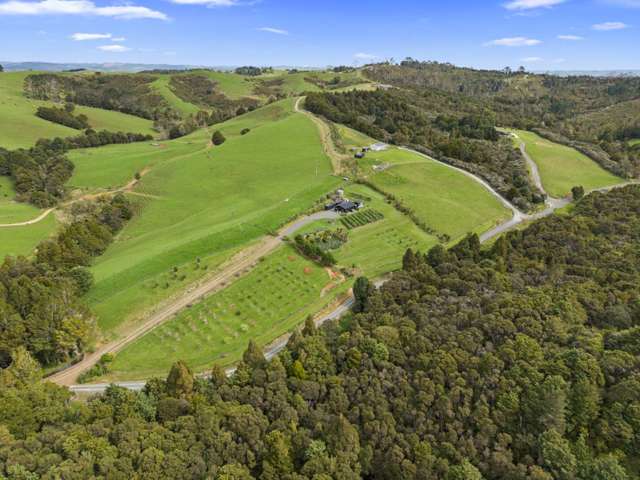 62 Pampas Lane Te Arai_3