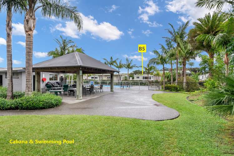 B5/71 Moir Street Mangawhai_10