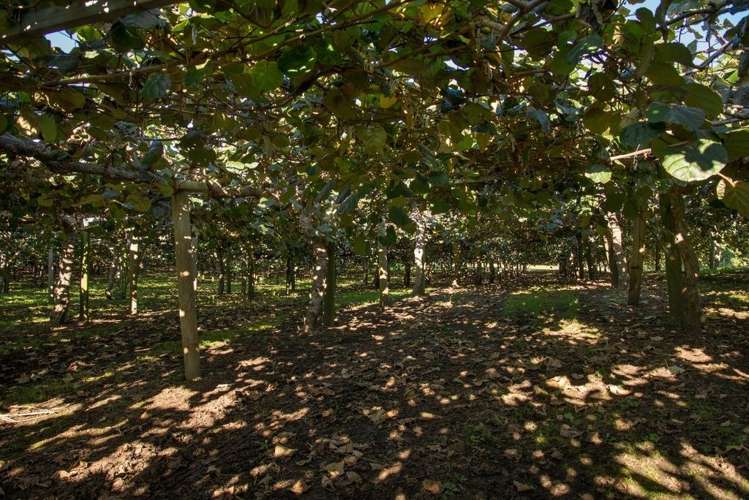 28 Lochhead Road Te Puna_6