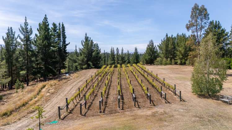 120 Hillview Road Alexandra_39