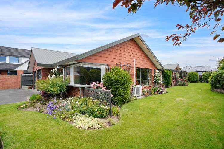 188 Ward Street Hargest_25