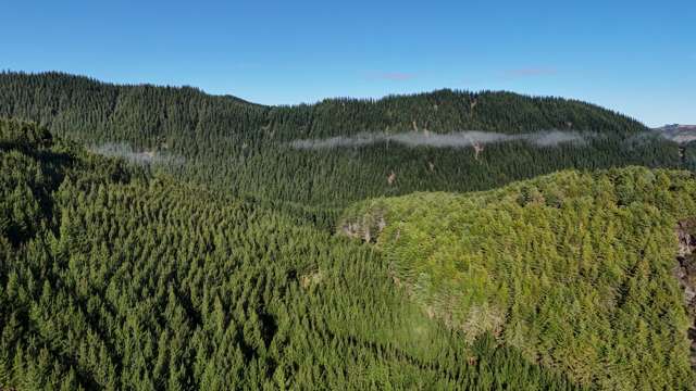 Okirae Road Mangamahu_2