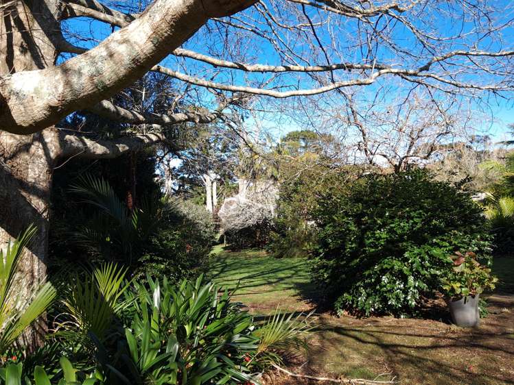 76 Medland Road Great Barrier Island_9
