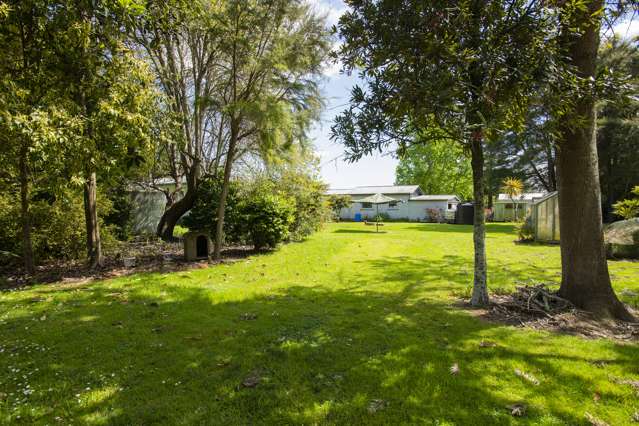 1186 Matawai Road Ormond_3