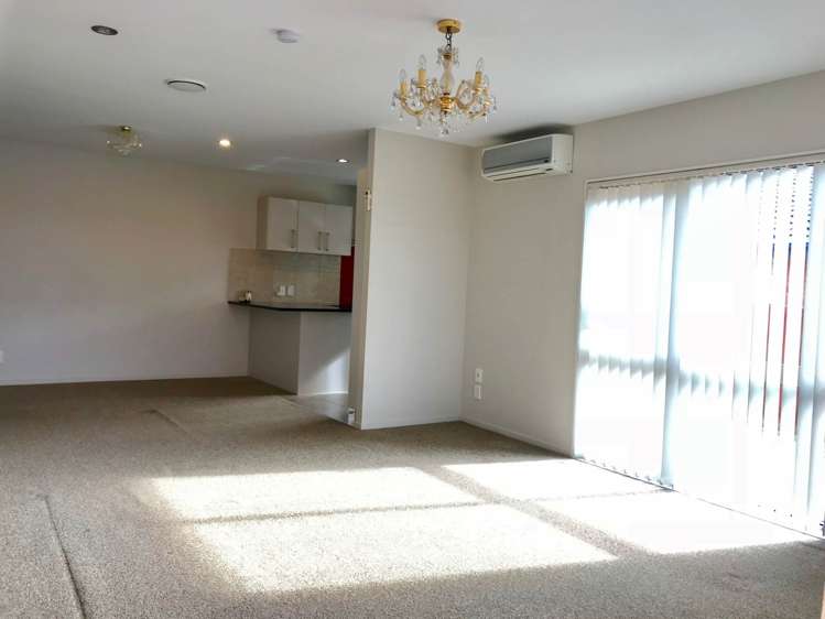 47 Mckittrick Avenue Flat Bush_4